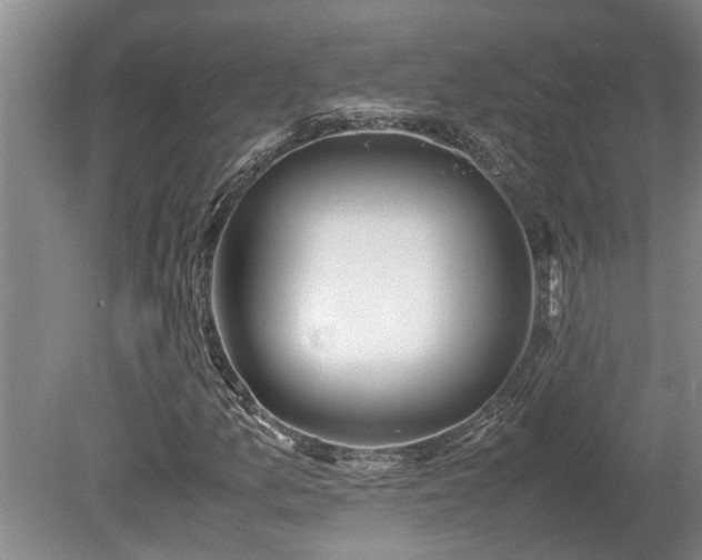 X0000080731157200612221245