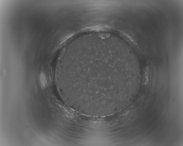 X0000080731158200612221245