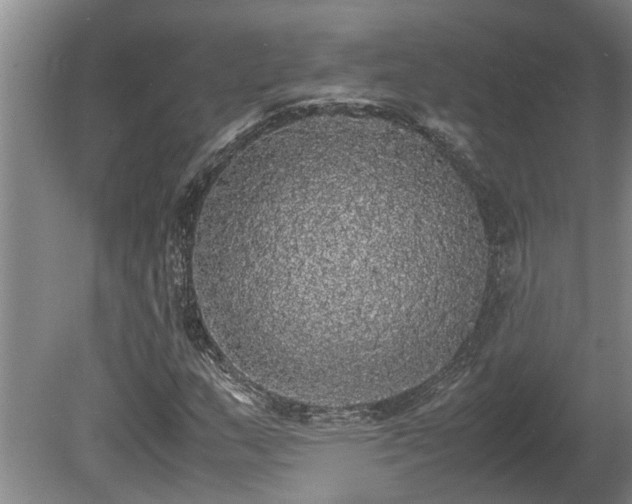 X0000080731159200612221245