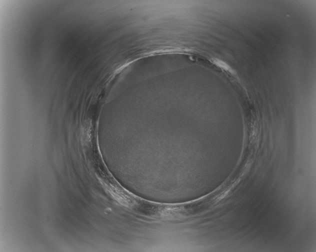 X0000080731161200612221245