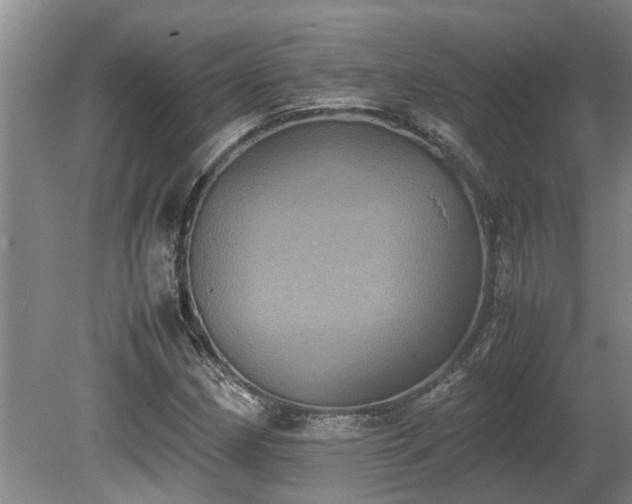 X0000080731162200612221245