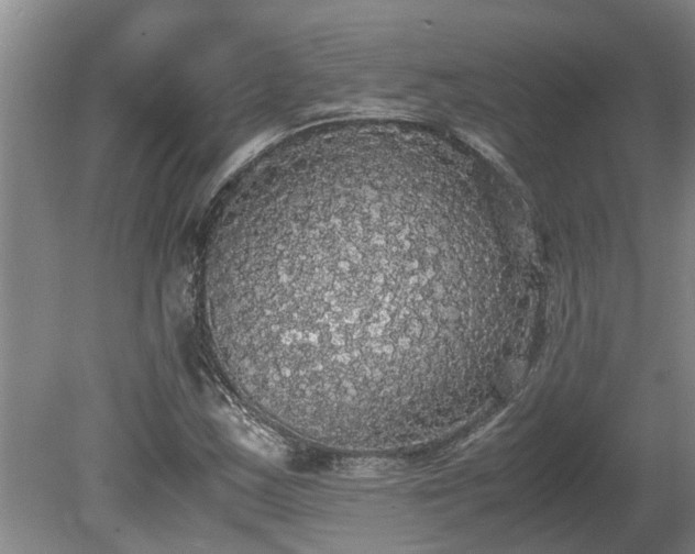 X0000080731163200612221245