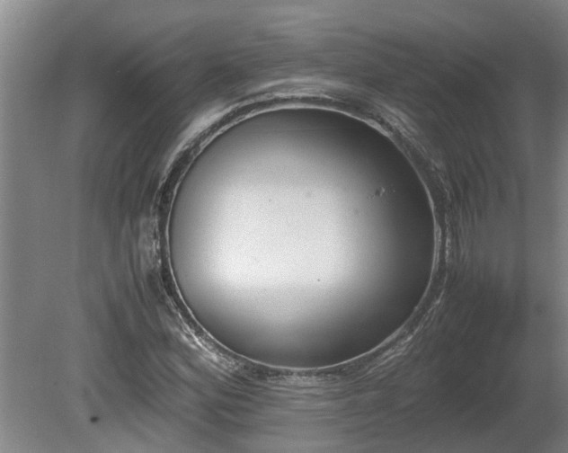 X0000080731164200612221245