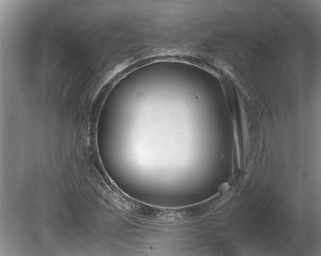 X0000080731165200612221245