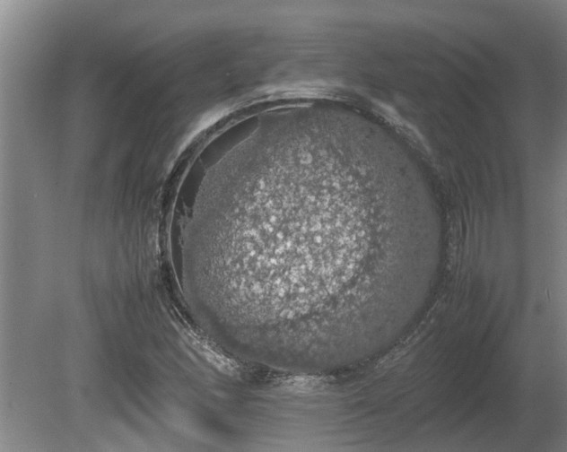 X0000080731166200612221245