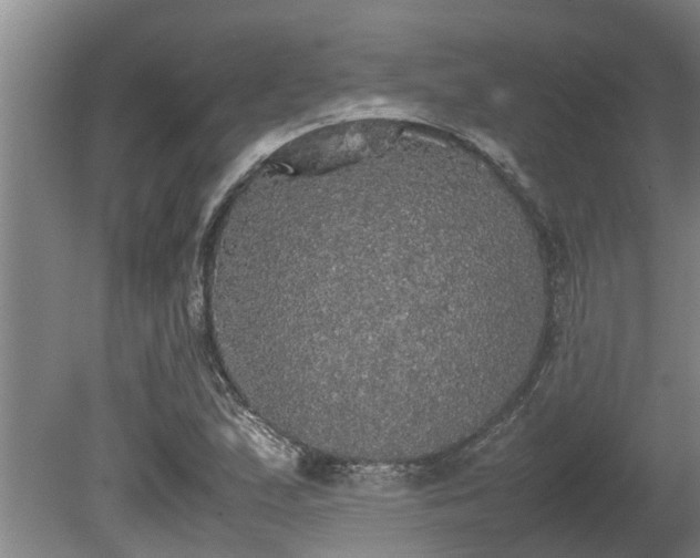 X0000080731167200612221245