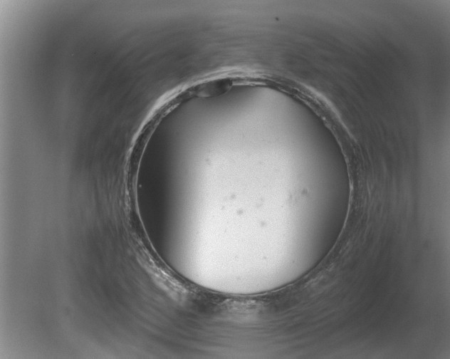 X0000080731168200612221245