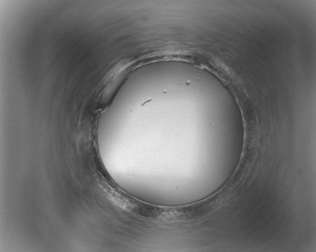 X0000080731169200612221245