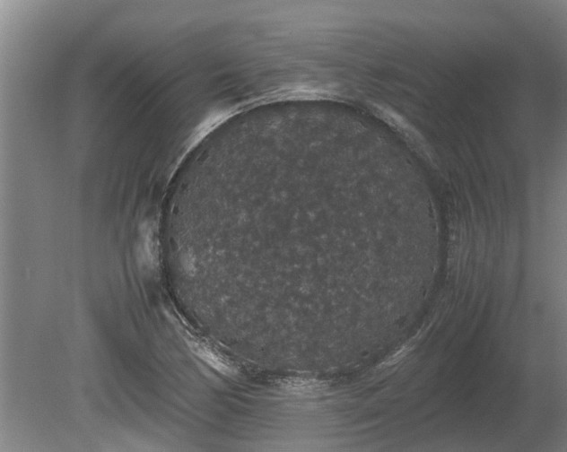 X0000080731170200612221245