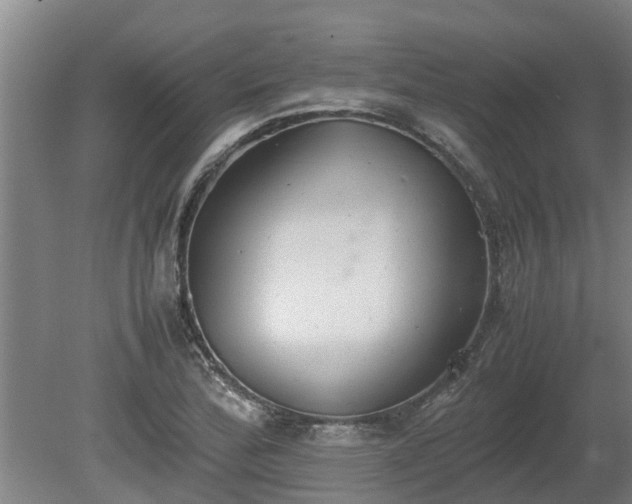 X0000080731172200612221245