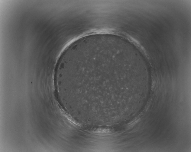 X0000080731174200612221245