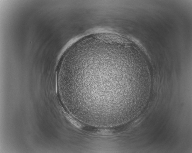 X0000080731175200612221245