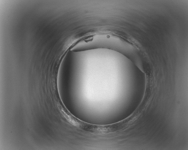 X0000080731177200612221245