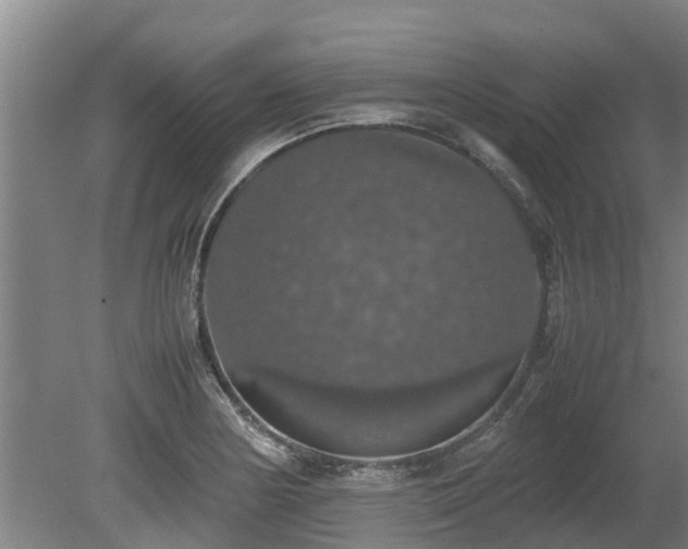 X0000080731178200612221245