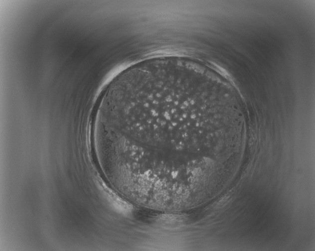 X0000080731179200612221245