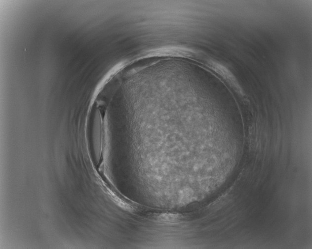 X0000080731180200612221245