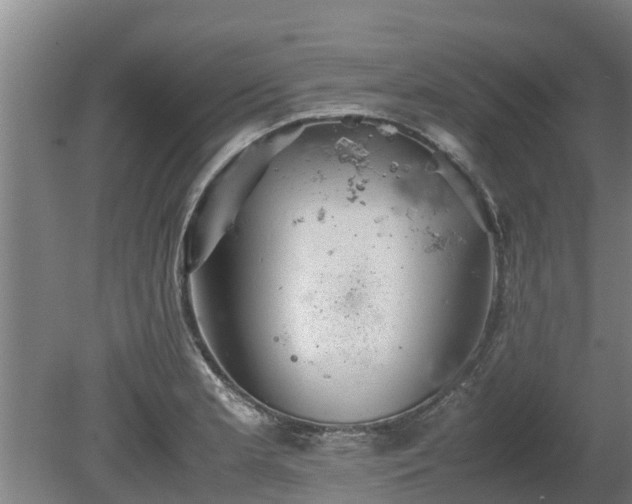 X0000080731181200612221245