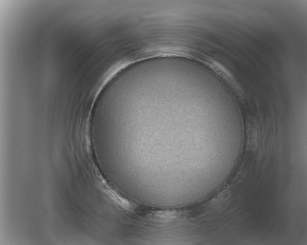 X0000080731182200612221245