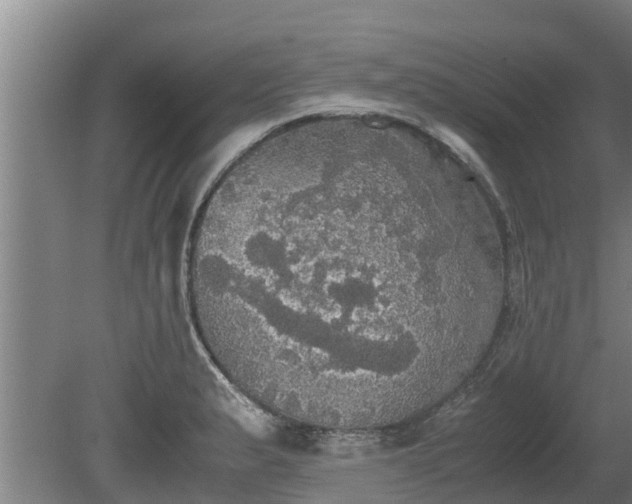 X0000080731183200612221245