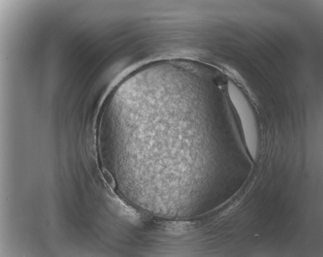 X0000080731184200612221245