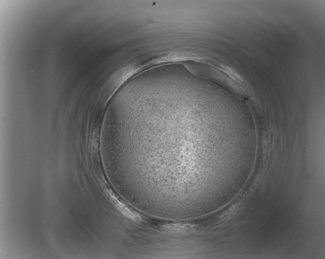 X0000080731185200612221245