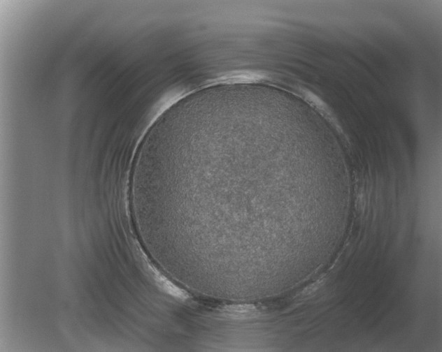 X0000080731186200612221245