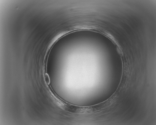 X0000080731187200612221245