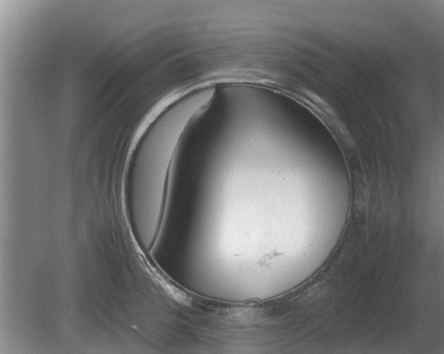 X0000080731188200612221245