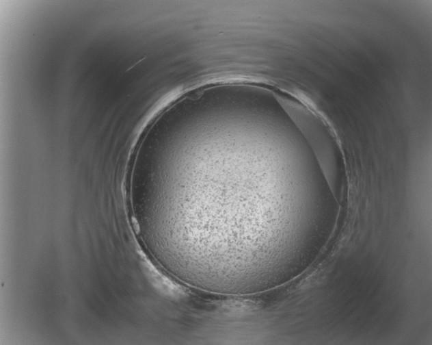 X0000080731189200612221245