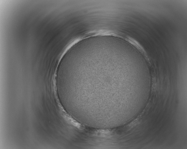 X0000080731190200612221245