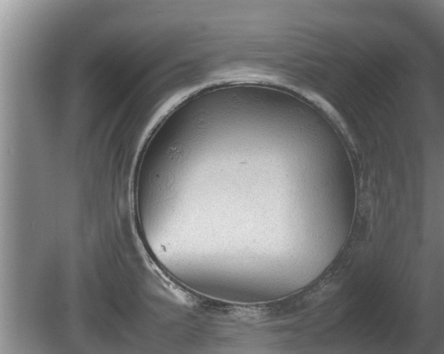 X0000080731191200612221245