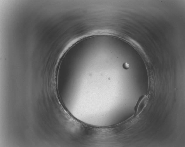 X0000080731192200612221245