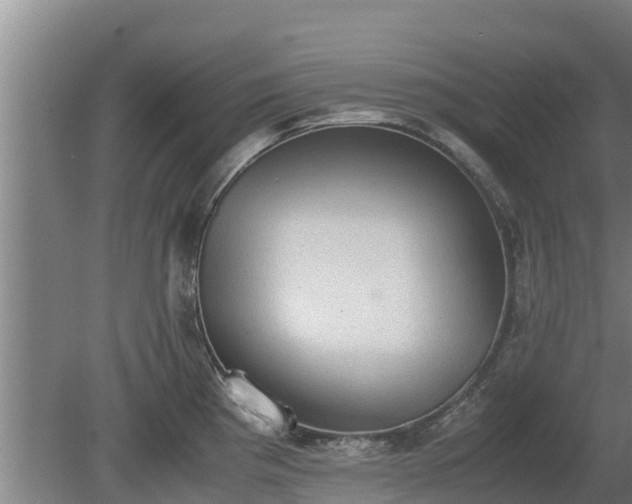 X0000080731193200612221245