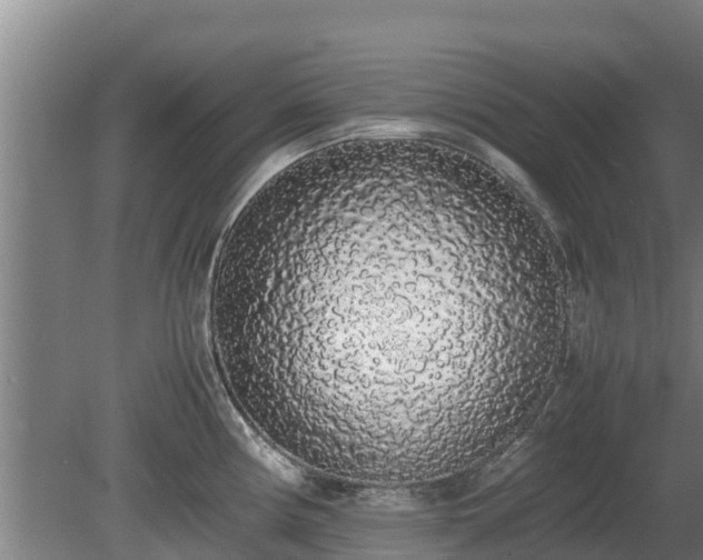 X0000080731194200612221245