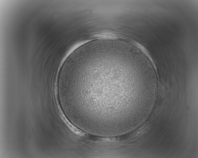 X0000080731195200612221245