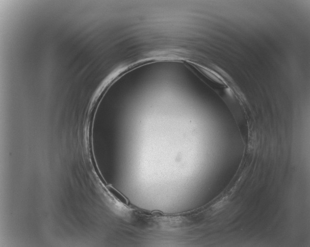 X0000080731196200612221245