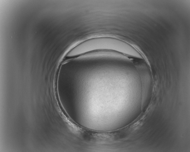 X0000080731197200612221245