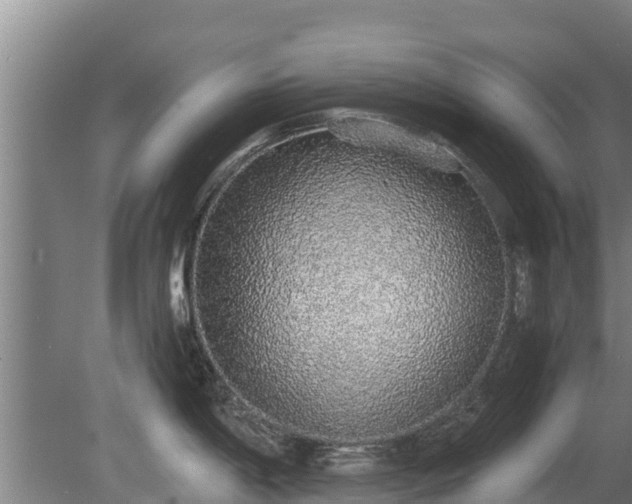 X0000080731198200612221245