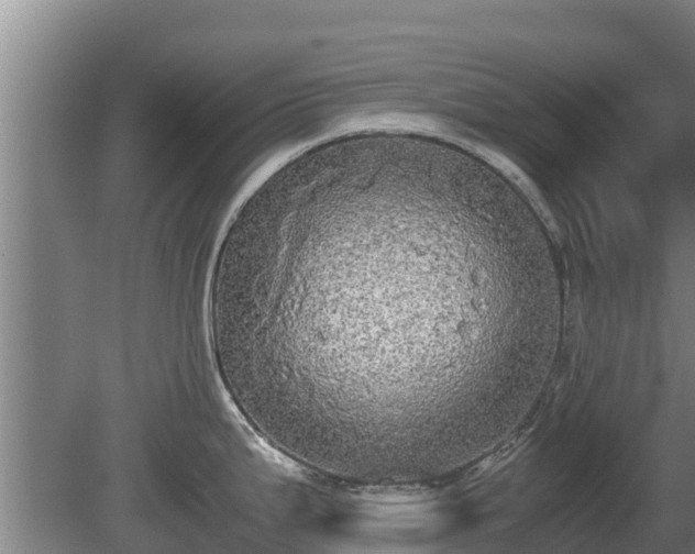 X0000080731199200612221245