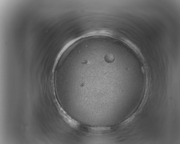 X0000080731200200612221245