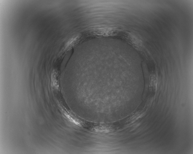 X0000080731202200612221244