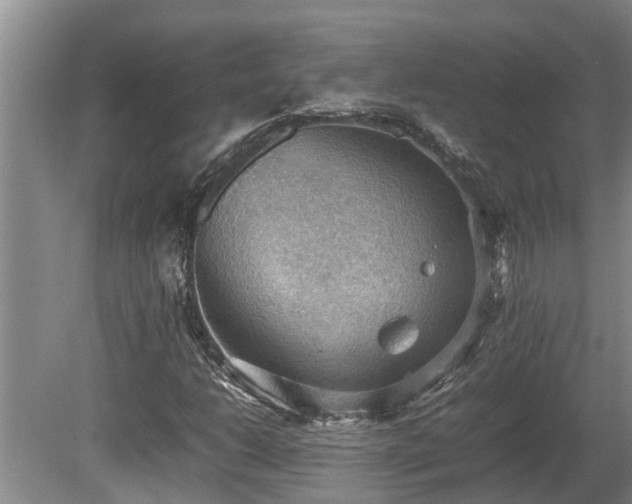 X0000080731206200612221244