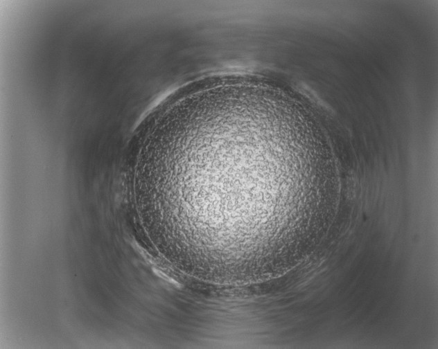 X0000080731208200612221244