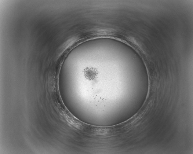 X0000080731211200612221244