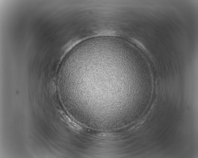 X0000080731212200612221244