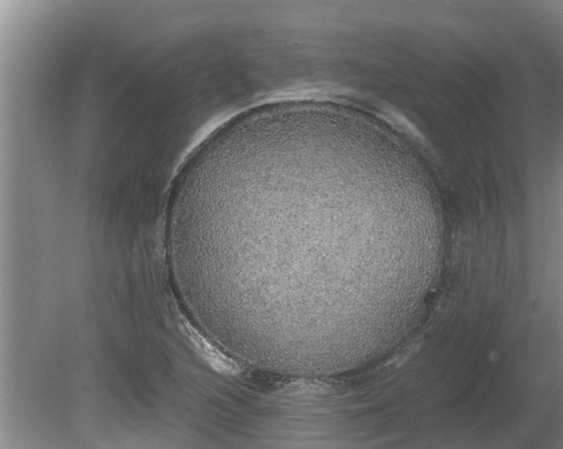 X0000080731216200612221244