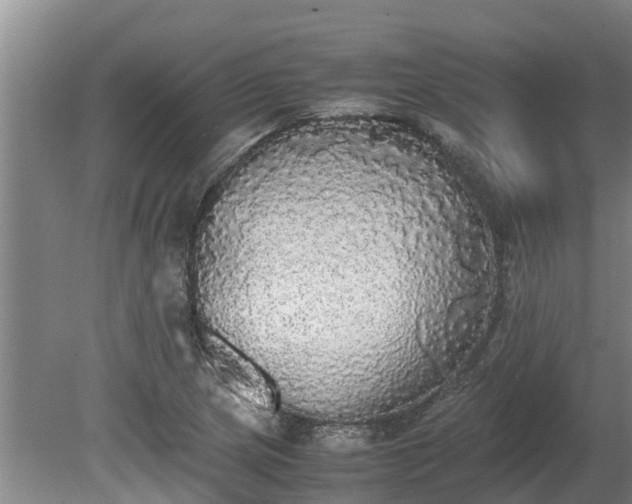 X0000080731217200612221244