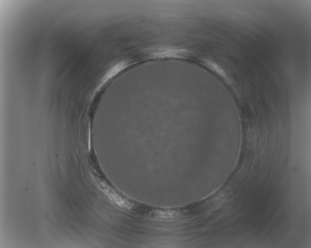 X0000080731219200612221244