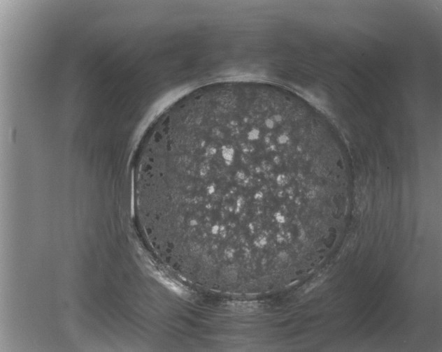 X0000080731223200612221244