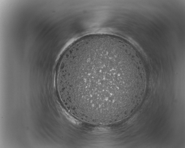 X0000080731224200612221244